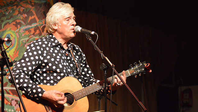 robyn hitchcock live