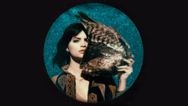 king nun bandPussy Mothers