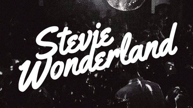Stevie Wonderland
