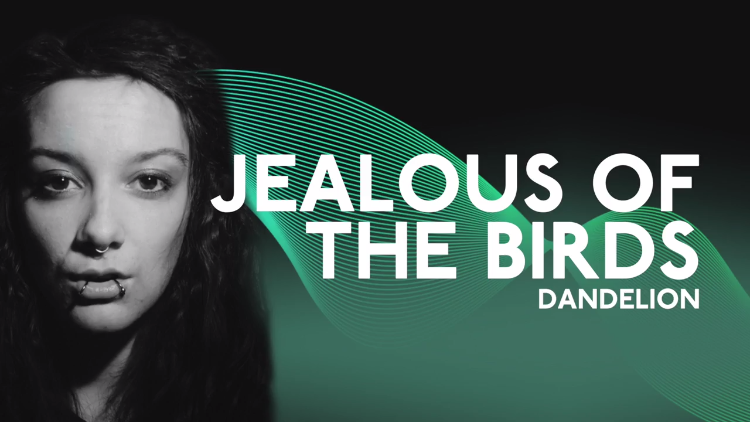 Jealous of the Birds - Dandelion